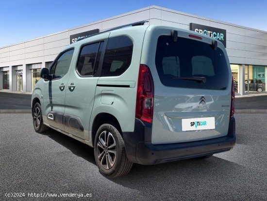 Citroën Berlingo  Talla M BlueHDi 100 Shine - Sevilla