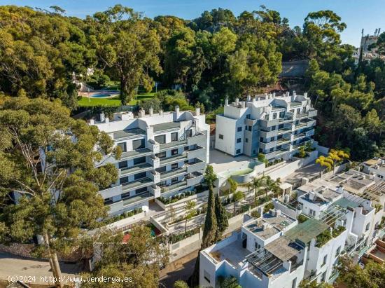 Bajo de lujo en el exclusivo barrio de el Limonar - MALAGA