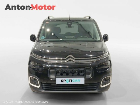 Citroën Berlingo  Talla M BlueHDi 130 S&S 6v Shine - VITORIA