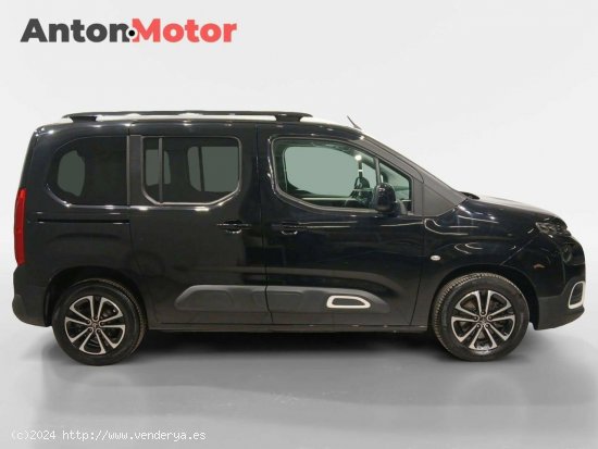 Citroën Berlingo  Talla M BlueHDi 130 S&S 6v Shine - VITORIA