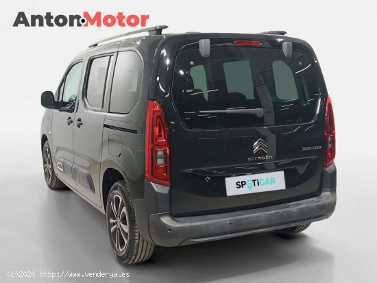 Citroën Berlingo  Talla M BlueHDi 130 S&S 6v Shine - VITORIA