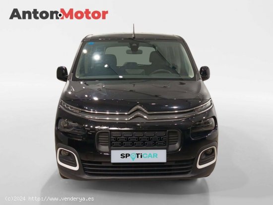 Citroën Berlingo  Talla XL BlueHDi 100 Feel - VITORIA