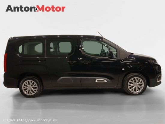 Citroën Berlingo  Talla XL BlueHDi 100 Feel - VITORIA