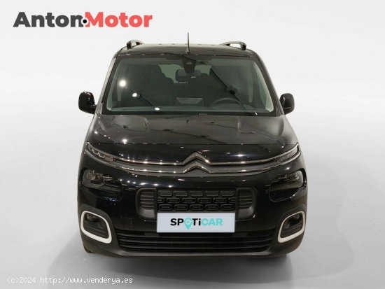 Citroën Berlingo  Talla XL BlueHDi 130 S&S 6v 100 AÑOS 100 Años - VITORIA