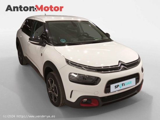 Citroën C4 Cactus  BlueHDi 100 S&S C-Series - VITORIA