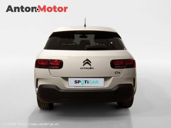 Citroën C4 Cactus  BlueHDi 100 S&S C-Series - VITORIA