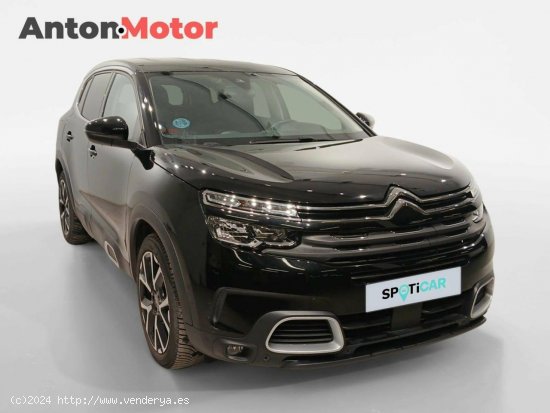 Citroën C5 Aircross  BlueHdi 96kW (130CV) S&S EAT8 Feel - VITORIA