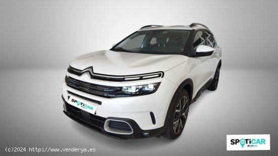 Citroën C5 Aircross  BlueHdi 96kW (130CV) S&S Shine - Quintanar De La Orden