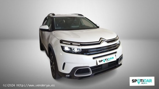 Citroën C5 Aircross  BlueHdi 96kW (130CV) S&S Shine - Quintanar De La Orden