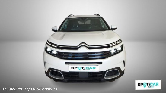 Citroën C5 Aircross  BlueHdi 96kW (130CV) S&S Shine - Quintanar De La Orden