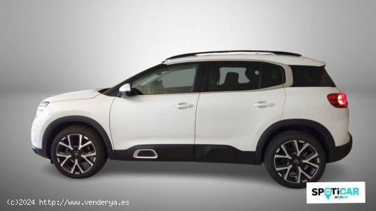 Citroën C5 Aircross  BlueHdi 96kW (130CV) S&S Shine - Quintanar De La Orden