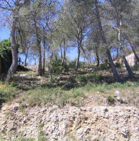  Terreno en urbanización Las Palmeras - BARCELONA 