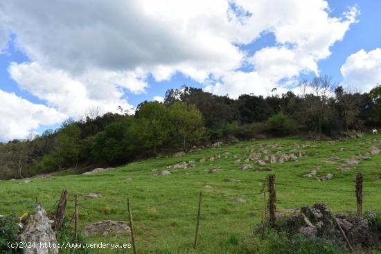 Casa de piedra en Hazas de Cesto - CANTABRIA