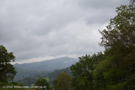 Venta de cabaña en Villacarriedo - CANTABRIA