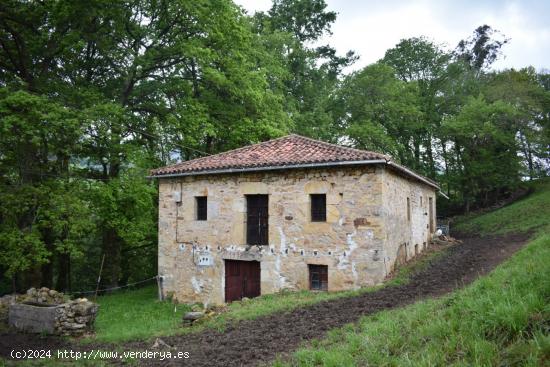 Venta de cabaña en Villacarriedo - CANTABRIA