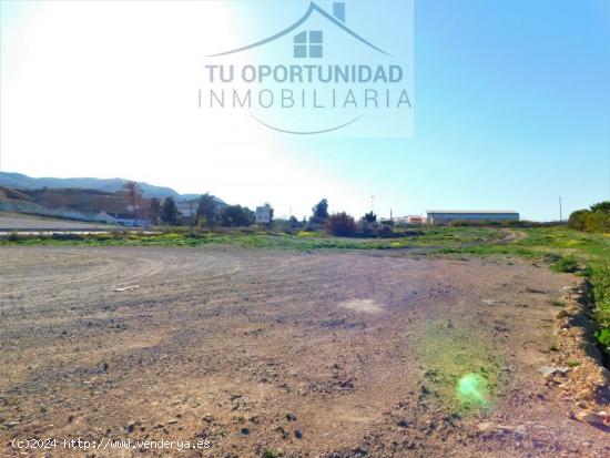 ¡SE ALQUILA!  Finca en Los Ramos, Murcia con muchas posibilidades - MURCIA