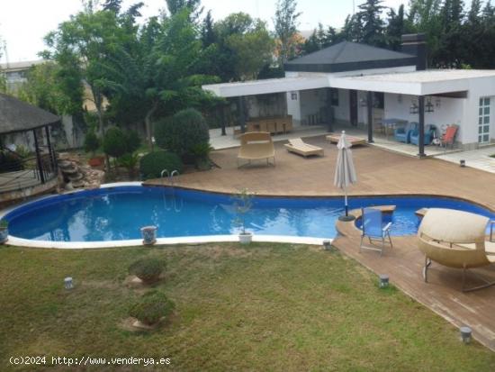 Finca de lujo con piscina y parcela - MURCIA