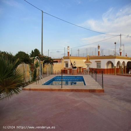 2 Casas en parcela de 10.500m2 - ALICANTE