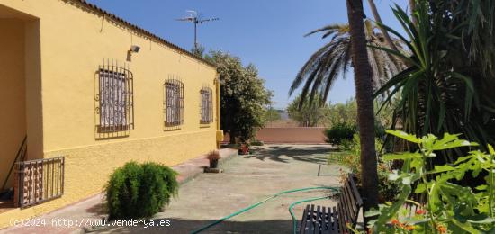 Chalet de ensueño con terreno lleno de olivos - TARRAGONA