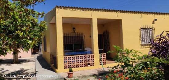 Chalet de ensueño con terreno lleno de olivos - TARRAGONA