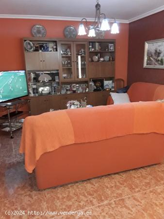 Gran dosado en venta - ALBACETE