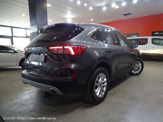 Ford Kuga Titanium 2.5 Duratec FHEV 140kW Auto - Madrid