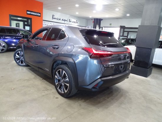 Lexus UX 2.0 250h Style - Madrid