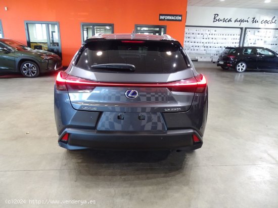 Lexus UX 2.0 250h Style - Madrid