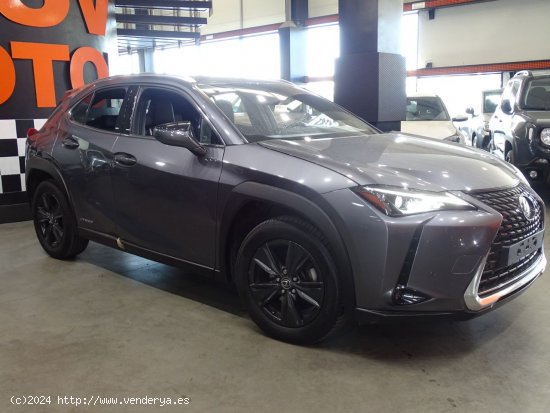 Lexus UX 2.0 250h Luxury - Madrid