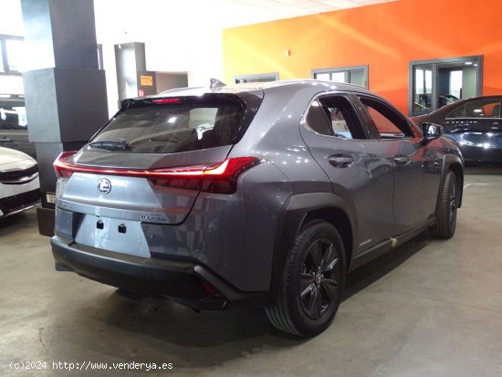 Lexus UX 2.0 250h Luxury - Madrid