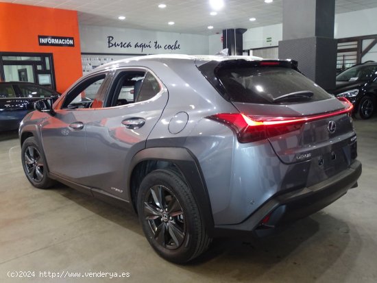 Lexus UX 2.0 250h Luxury - Madrid