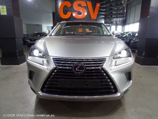 Lexus NX 2.5 300h Business 2WD - Madrid