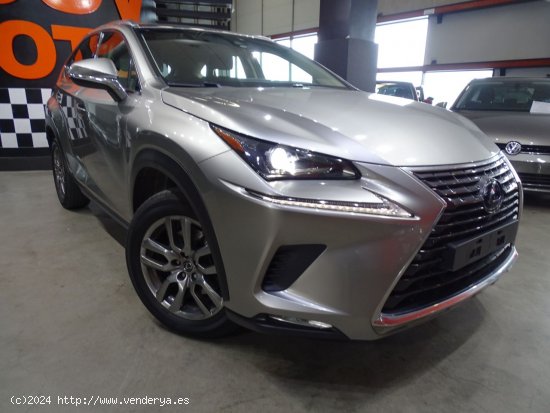 Lexus NX 2.5 300h Business 2WD - Madrid