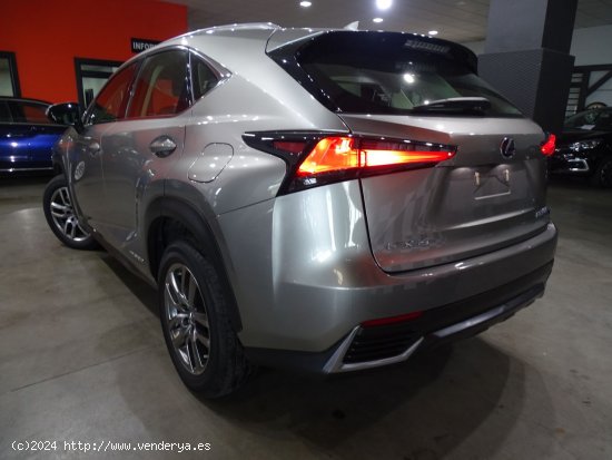 Lexus NX 2.5 300h Business 2WD - Madrid