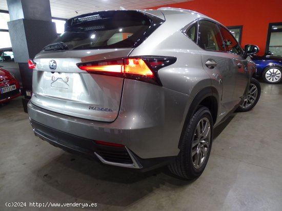 Lexus NX 2.5 300h Business 2WD - Madrid