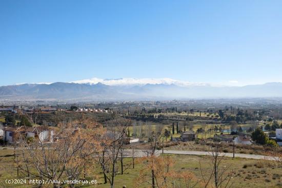 LA FINCA AL MEJOR PRECIO QUE ENCONTRARÁS EN PEDRO VERDE - GRANADA