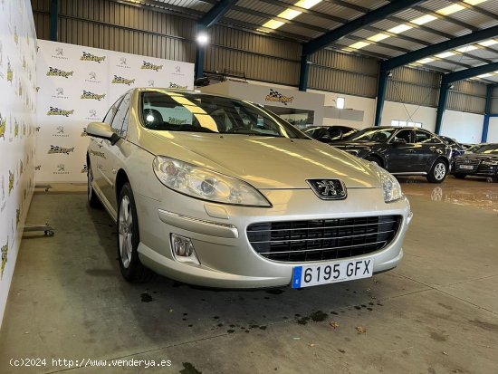 Peugeot 407 Premium HDI 136 - Dumbría