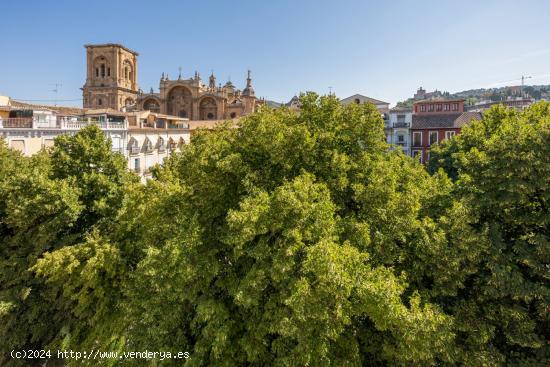  A LA VENTA EDIFICIO EN PLAZA BIB-RAMBLA - GRANADA 