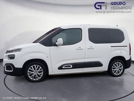 Citroën Berlingo TALLA M BLUE HDI 100 CV FEEL - Ponteareas