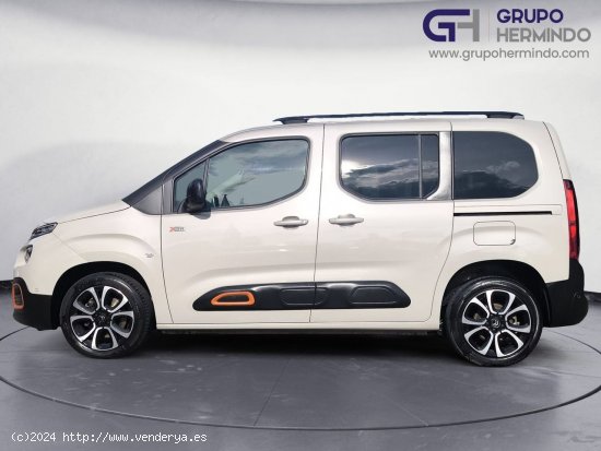 Citroën Berlingo TALLA M BLUE HDI 130 CV SHINE - Ponteareas