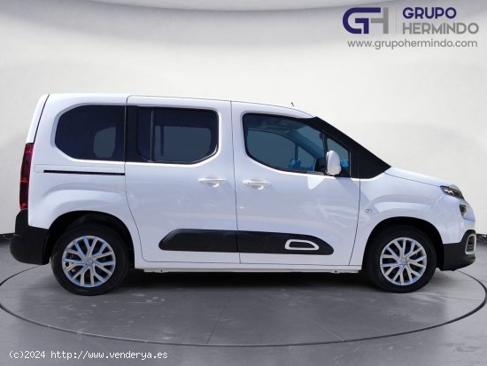 Citroën Berlingo TALLA M FEEL BLUE HDI 100 CV - Ponteareas