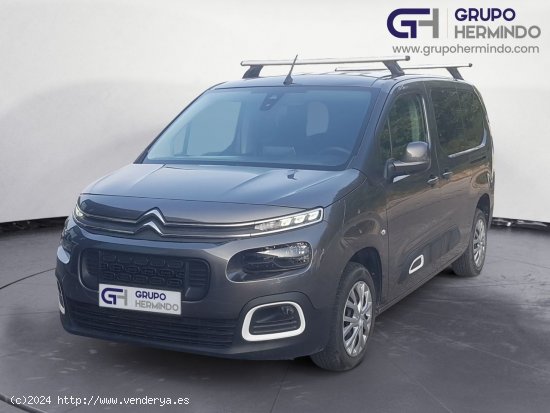 Citroën Berlingo TALLA XL FEEL BLUE HDI 130 CV - Ponteareas