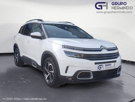 Citroën C5 Aircross FEEL BLUE HDI 130 CV - Ponteareas