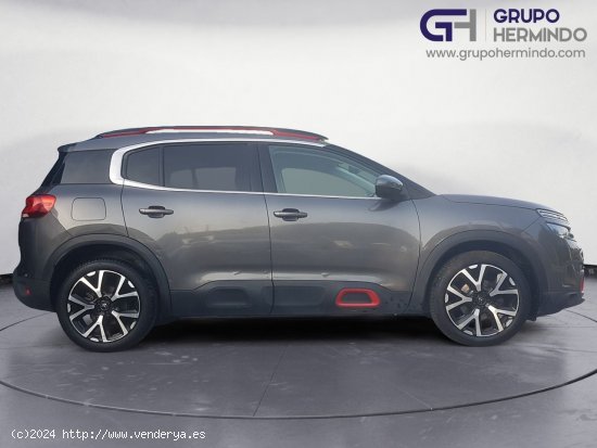 Citroën C5 Aircross FEEL BLUE HDI 130 CV EAT8 - Ponteareas