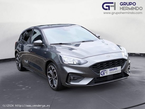 Ford Focus ST LINE HEV ST LINE 125 CV - Ponteareas