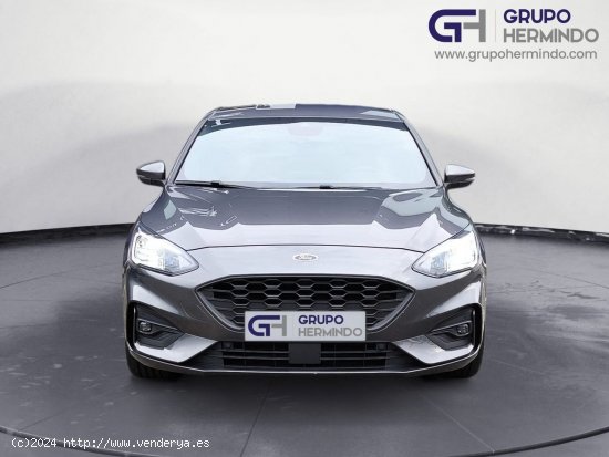 Ford Focus ST LINE HEV ST LINE 125 CV - Ponteareas