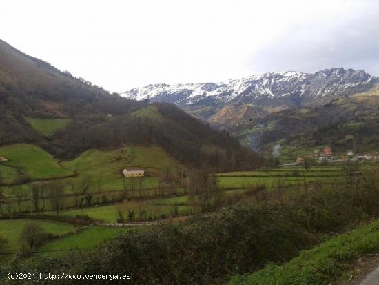 CASA DE PIEDRA EN BUSLOÑE - MORCÍN. PARA REFORMAR. - ASTURIAS