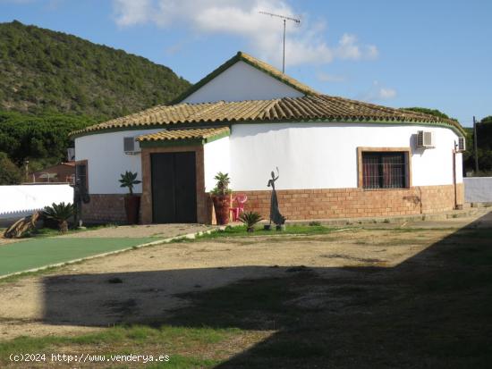 ESTUPENDA FINCA RUSTICA EN CAÑOS DE MECA - CADIZ