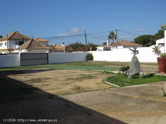 ESTUPENDA FINCA RUSTICA EN CAÑOS DE MECA - CADIZ