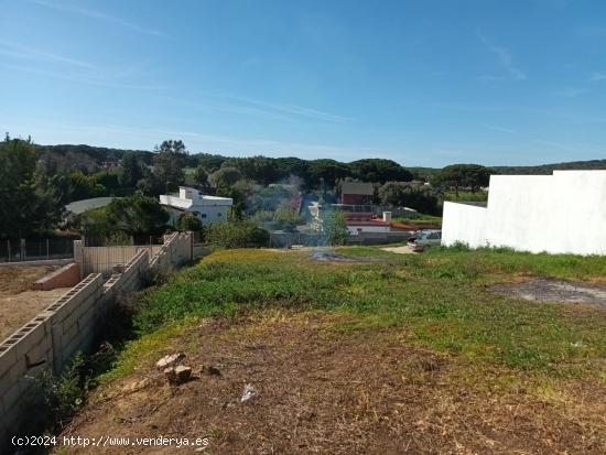 PARCELA RUSTICA CON ARBOLEDA - CADIZ